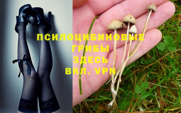 таблы Алексеевка