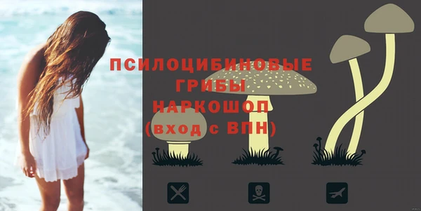 таблы Алексеевка
