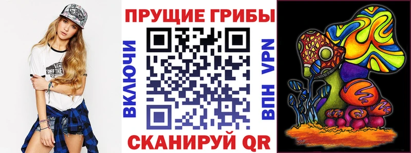 Галлюциногенные грибы Psilocybine cubensis  OMG ссылка  Кропоткин  где купить наркоту 